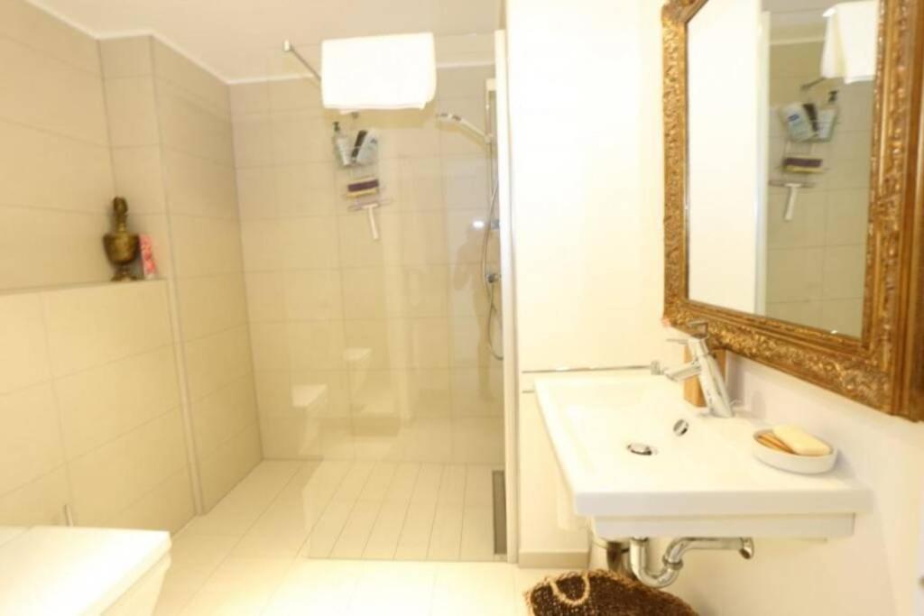 Large Family Retro Flat In City Center- Large Terrace & Garden View, Free Parking Люксембург Екстер'єр фото